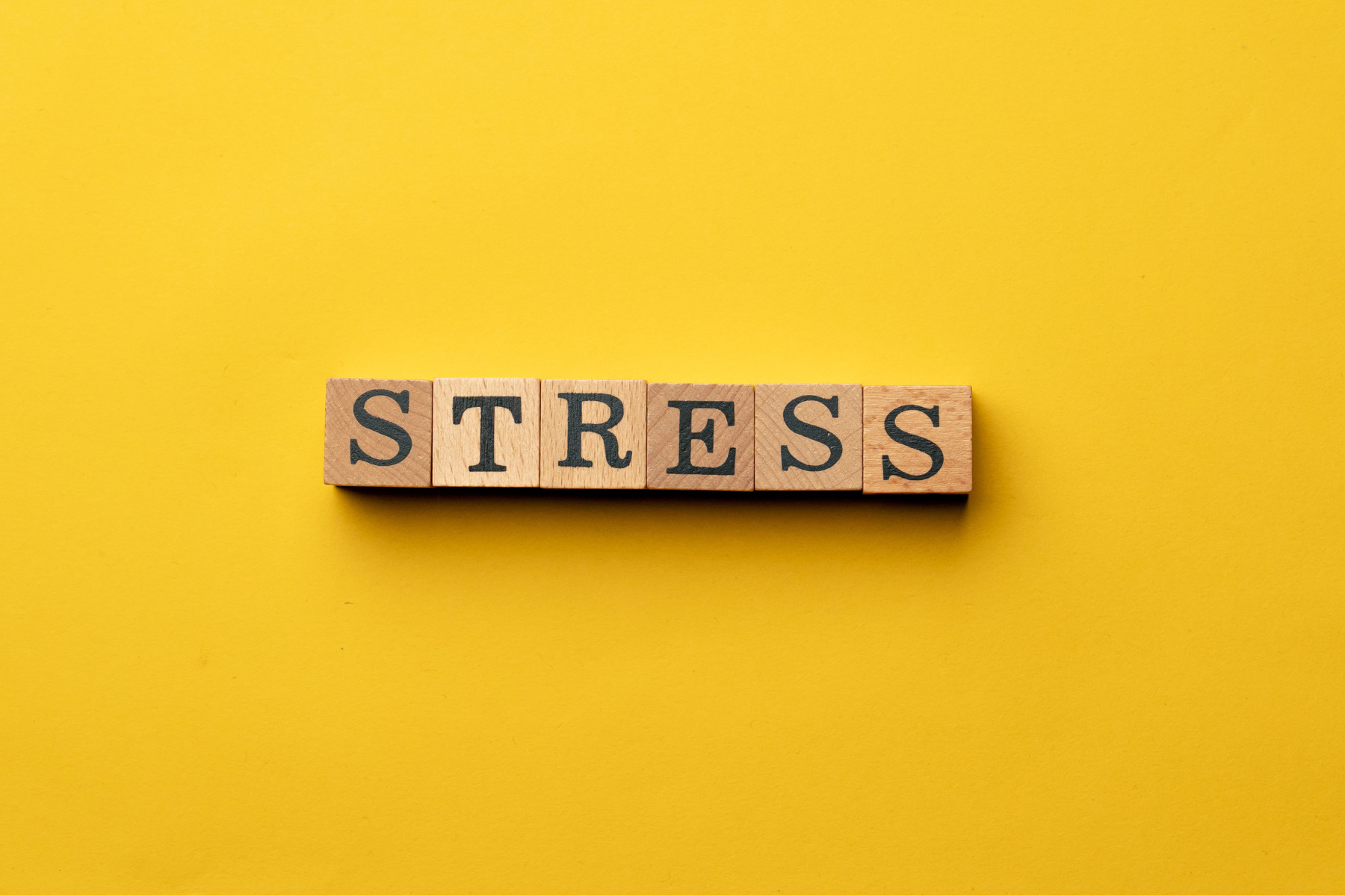 What Are the Physical Effects of Chronic Stress BNBA