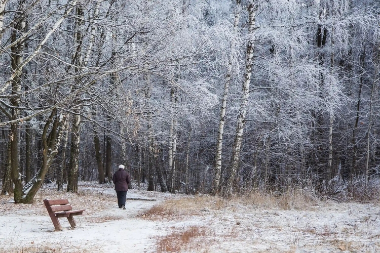 Seasonal Affective Disorder (SAD) & Seasonal Depression