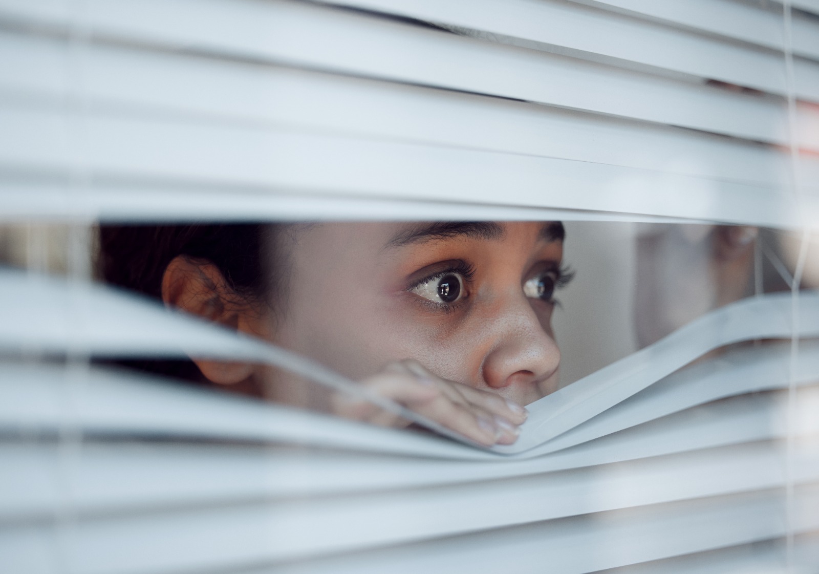 What Are the Main Causes of Phobias BNBA